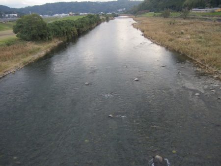 狩野川(狩野川漁業協同組合) 釣果