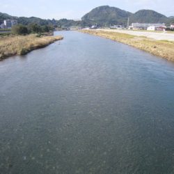 狩野川(狩野川漁業協同組合) 釣果