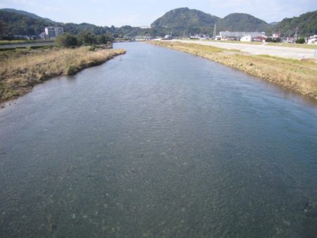 狩野川(狩野川漁業協同組合) 釣果