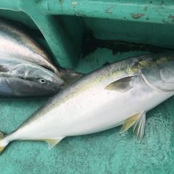広進丸 釣果