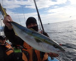 久里浜黒川本家 釣果