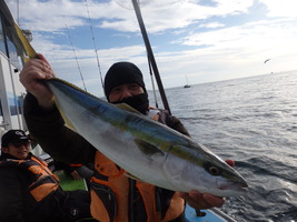 久里浜黒川本家 釣果