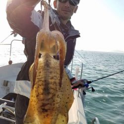 Magic(マジック) 釣果