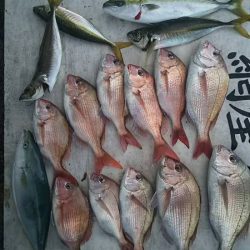 網屋丸 釣果