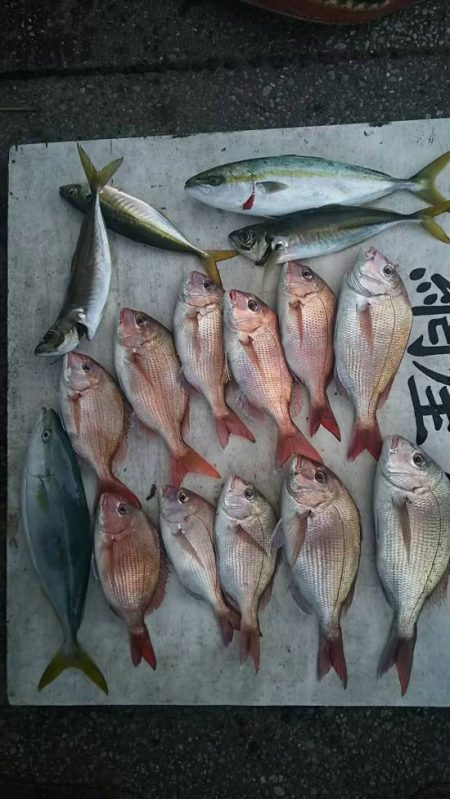 網屋丸 釣果