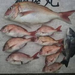 網屋丸 釣果