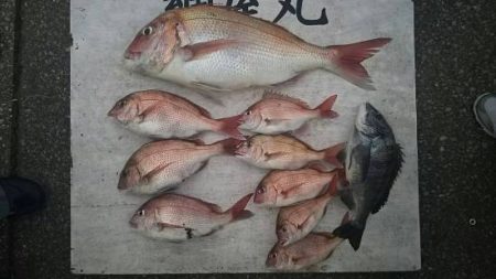 網屋丸 釣果