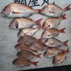 網屋丸 釣果