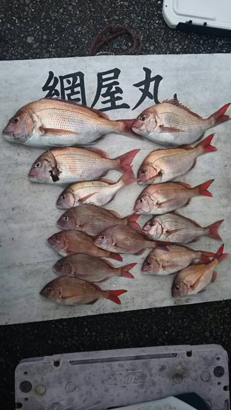 網屋丸 釣果