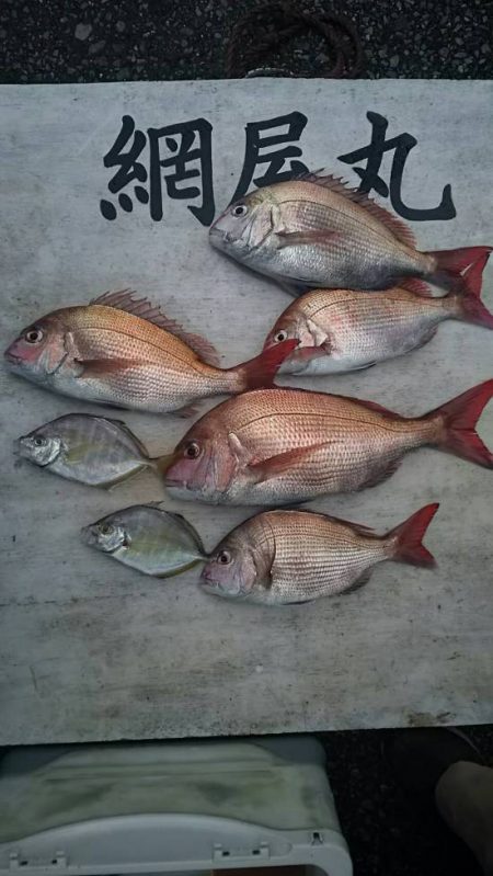 網屋丸 釣果