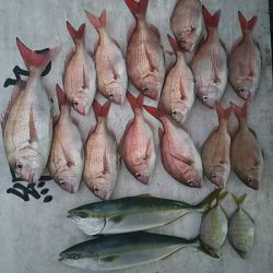 網屋丸 釣果