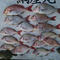 網屋丸 釣果