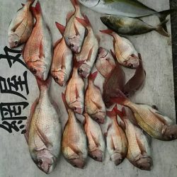 網屋丸 釣果