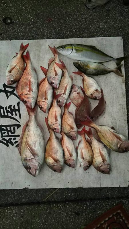 網屋丸 釣果