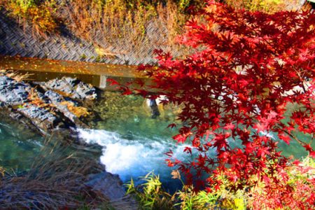 小菅トラウトガーデン 釣果