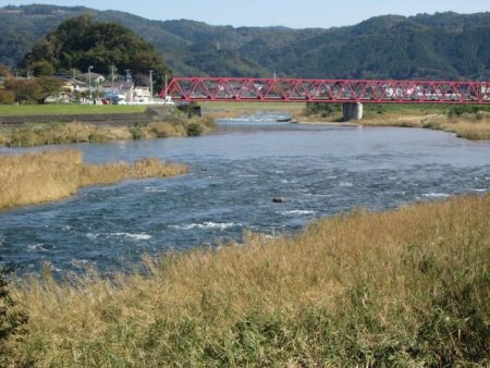狩野川(狩野川漁業協同組合) 釣果