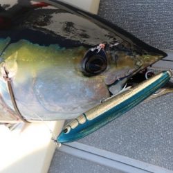 へいみつ丸 釣果