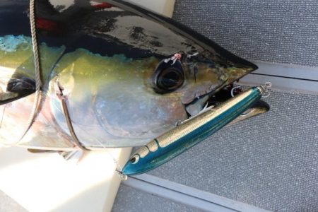 へいみつ丸 釣果