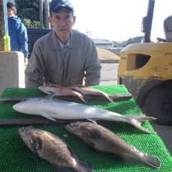 カタタのつり堀 釣果