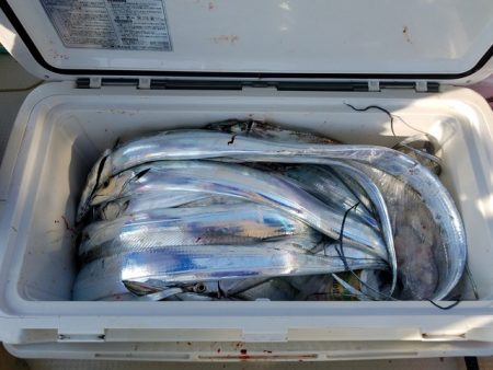 遊漁船 ニライカナイ 釣果