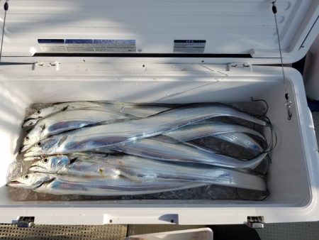 遊漁船　ニライカナイ 釣果