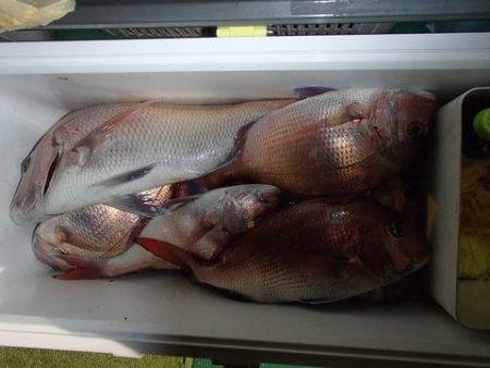 第二むつ漁丸 釣果