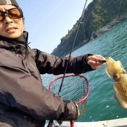 Magic(マジック) 釣果