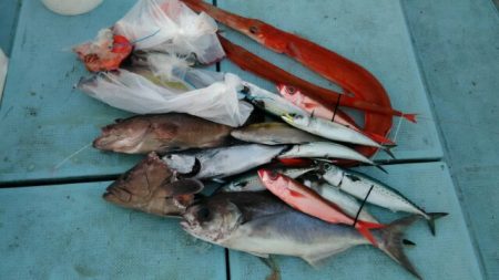 あき丸 釣果