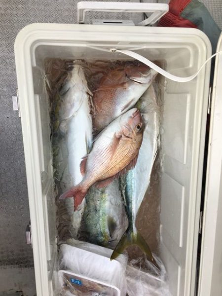 龍宮丸 釣果