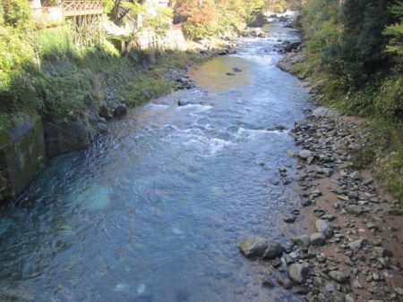狩野川（狩野川漁業協同組合） 釣果