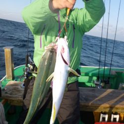 真祐丸 (しんゆうまる) 釣果