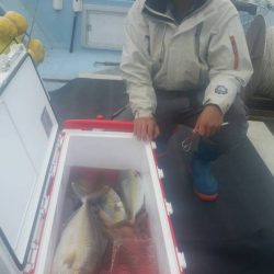 第五慶門丸 釣果