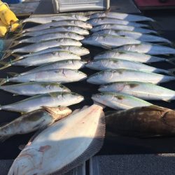 幸風（さちかぜ） 釣果
