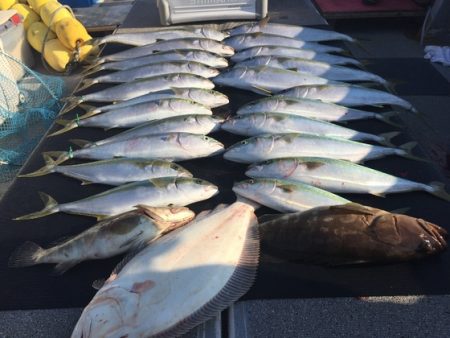 幸風（さちかぜ） 釣果
