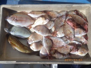 石川丸 釣果