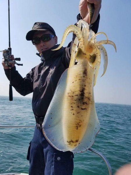 Magic(マジック) 釣果