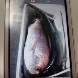 第二大福丸 釣果