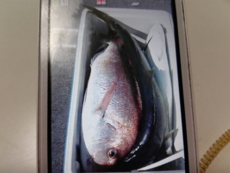 第二大福丸 釣果