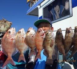 石川丸 釣果