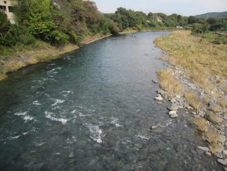 狩野川(狩野川漁業協同組合) 釣果