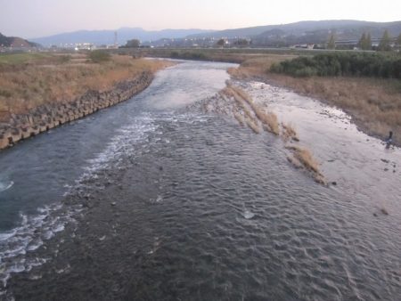 狩野川(狩野川漁業協同組合) 釣果