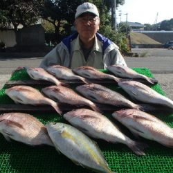 カタタのつり堀 釣果