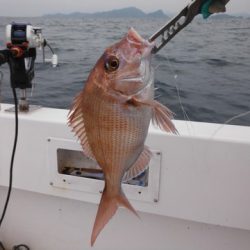 開進丸 釣果