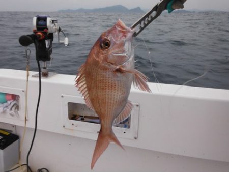 開進丸 釣果