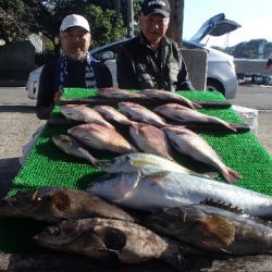 カタタのつり堀 釣果