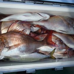 第二むつ漁丸 釣果