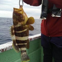 遊漁船 新鋭丸 釣果