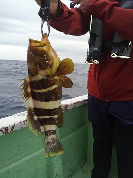遊漁船 新鋭丸 釣果
