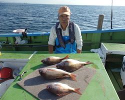 久里浜黒川本家 釣果