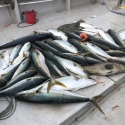 寿裕 （YOSHIHIRO） 釣果